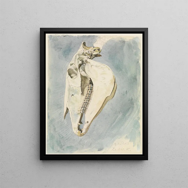Ferdinand Keller - Studie eines Tierschdels.webp