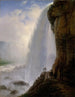Onder de watervallen van de Niagara - Ferdinand Richardt — weergave van het kunstwerk