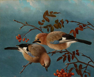 Ferdinand von Wright - Jays.webp