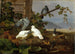 Duiven - Ferdinand von Wright — weergave van het kunstwerk