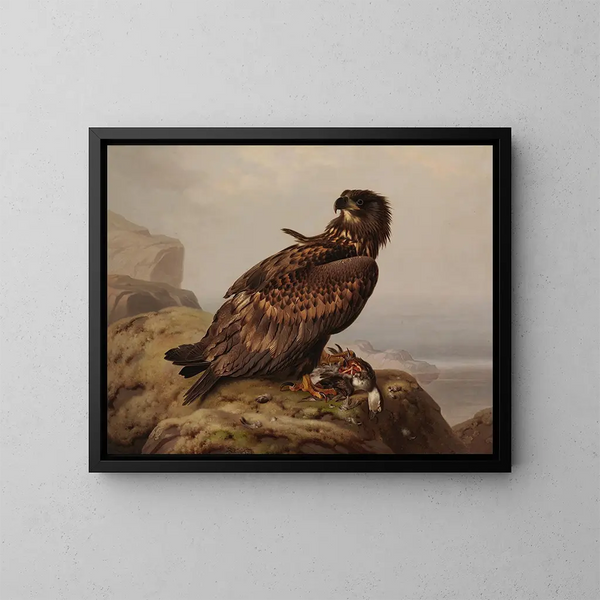 van een Witte Staart Adelaar met prooi - Ferdinand von Wright — ingelijst kunstwerk aan de muur