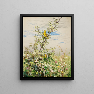 Fidelia Bridges - June.webp