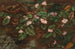 van een hangende Arbutus-boom - Fidelia Bridges | Schilderij — weergave van het kunstwerk