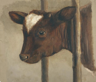Floris Verster - Head of a calf in a cowshed.webp
