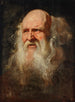 Studie van een mannenhoofd - School van Peter Paul Rubens — weergave van het kunstwerk