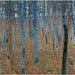 Reproductie van het schilderij Beukenbos - Gustav Klimt