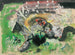 Lente in Little Woolgarston - Frances Hodgkins — weergave van het kunstwerk