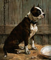 Terrier zittend - Frances Townsend — weergave van het kunstwerk