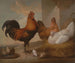 Kippen en hanen van de boerderij - Francis Barlow — weergave van het kunstwerk