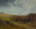 Landschap - Franklin De Haven — weergave van het kunstwerk