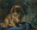 Pékinois - François-Charles Cachoud — weergave van het kunstwerk