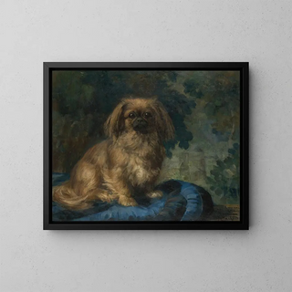 FranoisCharles Cachoud - Pekingese.webp
