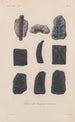 Traité de botanique générale Pl002 - François Hérincq — artwork view