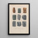 Treatise on General Botany Pl004 - François Hérincq — framed artwork on a wall