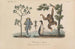 Treatise on General Botany Pl010 - François Hérincq — artwork view
