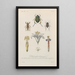 Treatise on General Botany Pl012 - François Hérincq — framed artwork on a wall