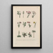 Treatise on General Botany Pl016 - François Hérincq — framed artwork on a wall