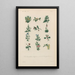 Treatise on General Botany Pl017 - François Hérincq — framed artwork on a wall