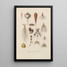 Treatise on General Botany Pl021 - François Hérincq — framed artwork on a wall