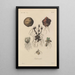 Treatise on General Botany Pl028 - François Hérincq — framed artwork on a wall