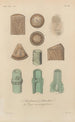 Traité de botanique générale Pl029 - François Hérincq — artwork view