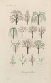 Traité de botanique générale Pl033 - François Hérincq — artwork view