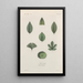 Treatise on General Botany Pl035 - François Hérincq — framed artwork on a wall
