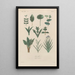 Traité de botanique générale Pl042 - François Hérincq — framed artwork on a wall