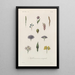 Treatise on General Botany Pl049 - François Hérincq — framed artwork on a wall