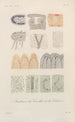 Treatise on General Botany Pl057 - François Hérincq — artwork view