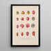 Traité de botanique générale Pl071 - François Hérincq — framed artwork on a wall