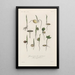 Treatise on General Botany Pl076 - François Hérincq — framed artwork on a wall