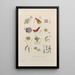 Traité de botanique générale Pl091 - François Hérincq — framed artwork on a wall