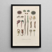 Treatise on General Botany Pl092 - François Hérincq — framed artwork on a wall