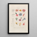 Treatise on General Botany Pl096 - François Hérincq — framed artwork on a wall