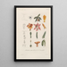 Traité de botanique générale Pl097 - François Hérincq — framed artwork on a wall