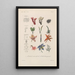 Treatise on General Botany Pl098 - François Hérincq — framed artwork on a wall
