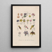 Treatise on General Botany Pl100 - François Hérincq — framed artwork on a wall