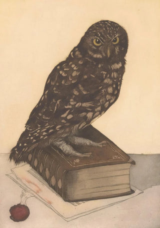 Frans Everbag - Uil zittend op een boek.webp