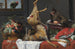 Natuurschilderij met een dode hert - Frans Snyders — weergave van het kunstwerk