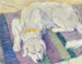 Liggende hond, hondenportret - Franz Marc — weergave van het kunstwerk