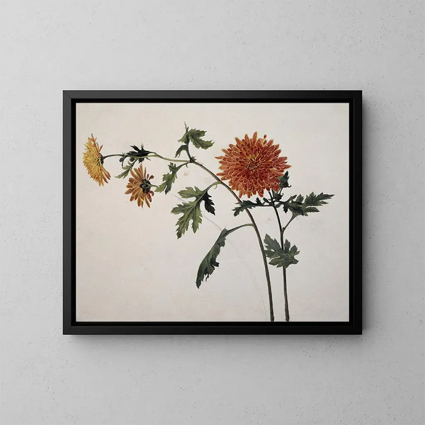 Chrysanten - Franz Theobald Horny — ingelijst kunstwerk aan de muur