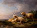 Landschap met schapen - Franz Van Severdonck — weergave van het kunstwerk