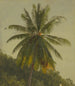 Palmbomen Antillen - Frederic Edwin Church — weergave van het kunstwerk
