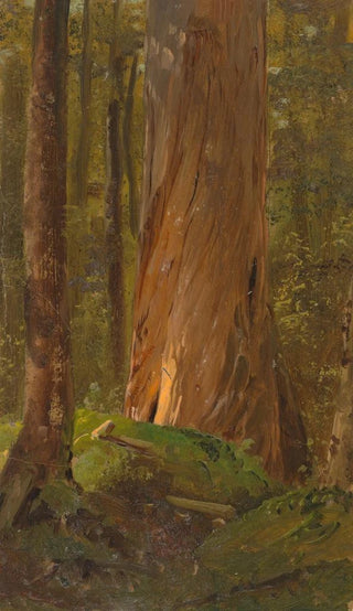 Frederic Edwin Church - Study in the Maine Woods.webp