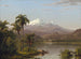 Palmbomen Tamaca - Frederic Edwin Church — weergave van het kunstwerk