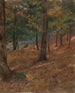 Bosrijke scène - Frederic Edwin Church — weergave van het kunstwerk