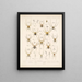 Arachnida Araneidea Pl 01 - Frederick DuCane Godman — framed artwork on a wall