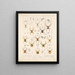 Arachnida Araneidea Pl 03 - Frederick DuCane Godman — framed artwork on a wall