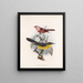 Aves Pl 11 - Frederick DuCane Godman — framed artwork on a wall
